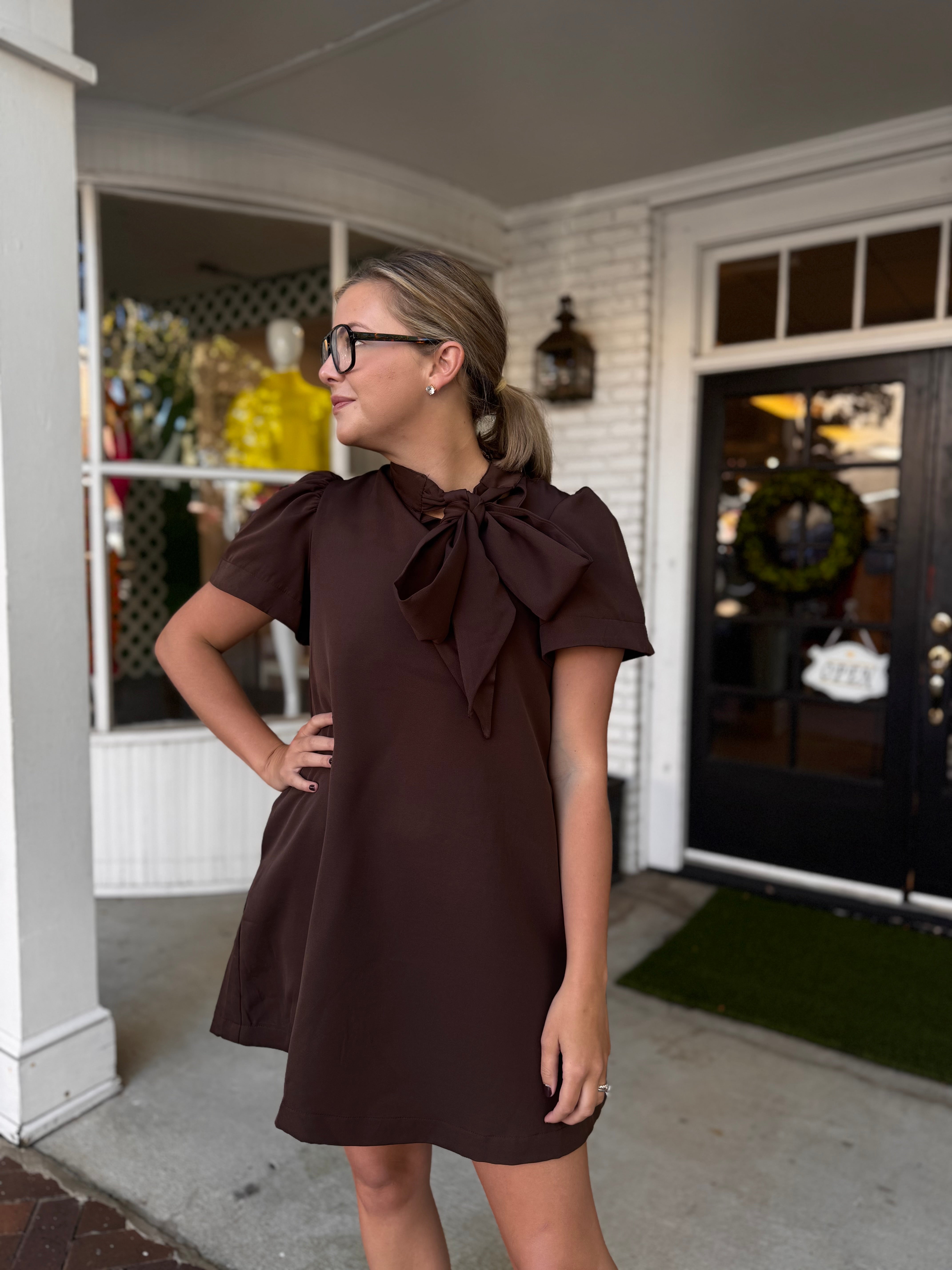 The Clara Dress - Brown