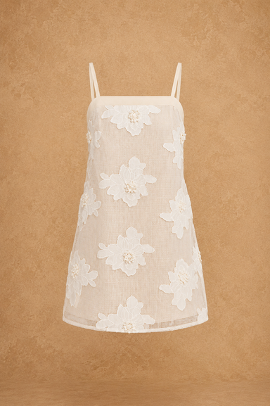Beige lace dress with white floral patterns on a brown background