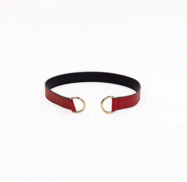 Black and red belt with gold hardware on a white background