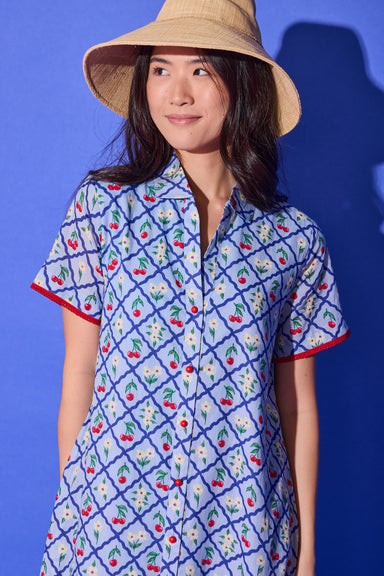 Woman wearing a patterned dress and straw hat against a blue background