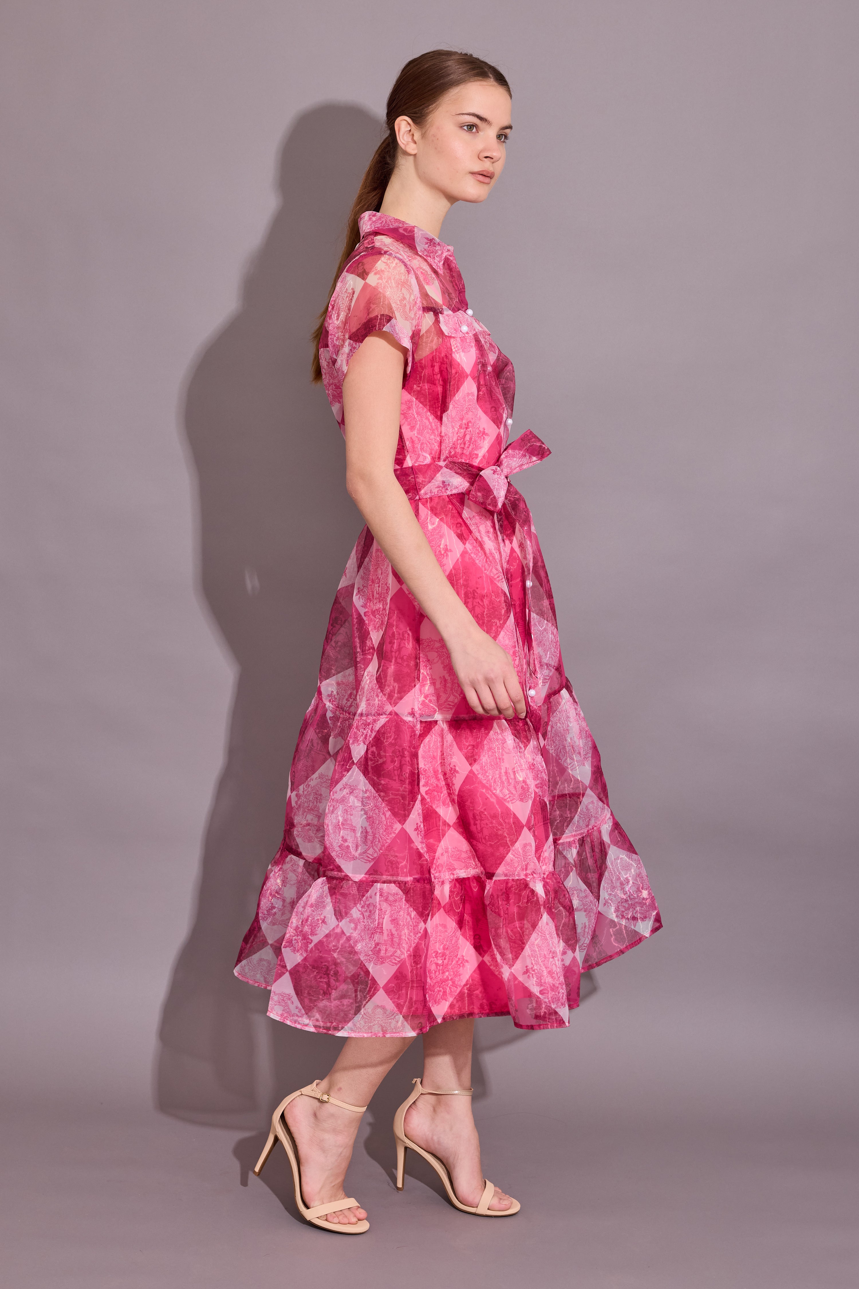 Rachel Dress - Toile